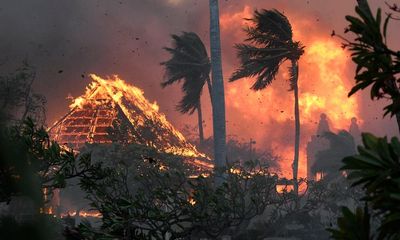 Earth’s ‘vital signs’ worse than at any time in human history, scientists warn
