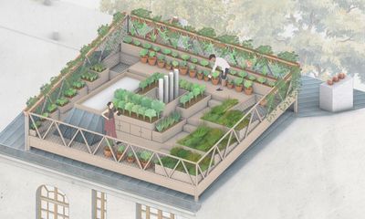 From grey to green: the plan to turn Paris’s zinc rooftops into gardens