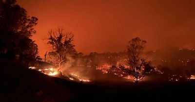 Extreme fire danger for the Hunter as hot and windy conditions hit