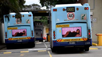 Sydney should follow NYC's lead in bus network overhaul