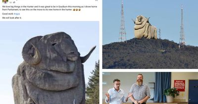 Is the big merino on the move? Viral post proves social media scam point