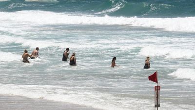 Controversial shark nets being removed from beaches