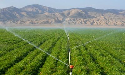 Carrots farms v valley: the battle over a water-depleted California region