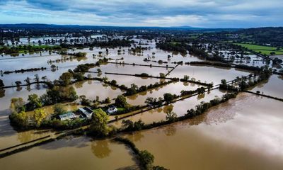 UK farmers warn of rotting crops after Storm Babet flooding