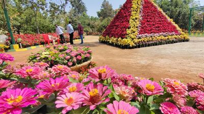 Mysuru gets a botanical garden