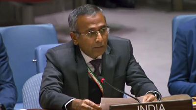 Civilian casualties in ongoing Israel-Palestine conflict matter of serious, continuing concern: India tells UN Security Council