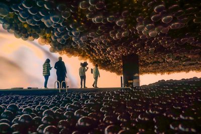 'Let's Fly,' the latest exhibition from the Balloon Museum, awakens childlike wonder in all of us