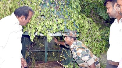 Camera traps installed at 13 spots to capture elusive leopard in Erode