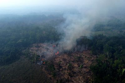 As rainforests worldwide disappear, burn and degrade, a summit to protect them opens in Brazzaville