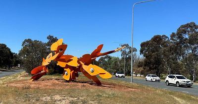 Tuggeranong's orange bogong moth is getting a facelift
