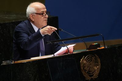 Palestinian ambassador urges UN to ‘stop the killing’ as Israel pounds Gaza