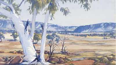 Albert Namatjira watercolours on show for first time