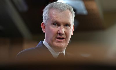 Tony Burke says people have right to grieve Gaza deaths and backs flying Palestinian flag in Australia