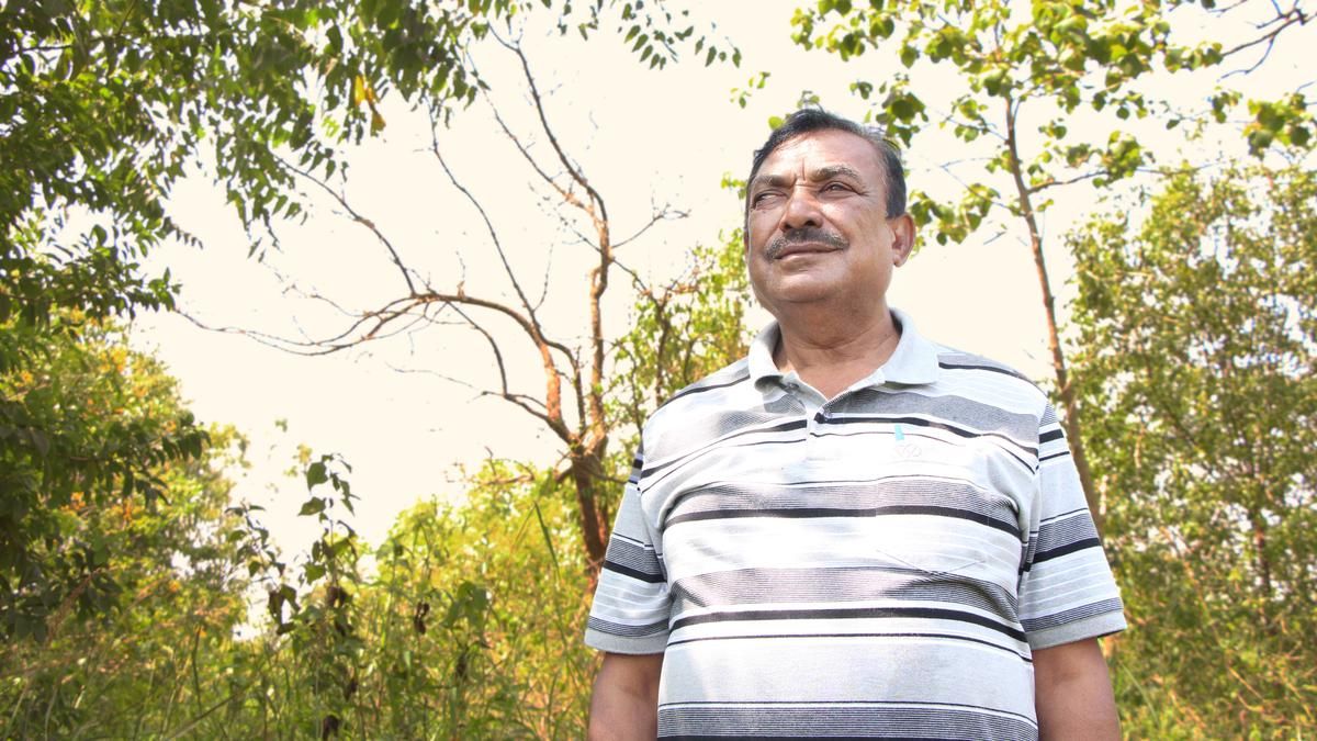 This retired official has transformed swathes of dry…