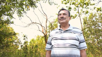 This retired official has transformed swathes of dry lands into forests