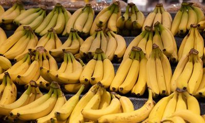 UK accused of plan to further cut cost of bananas at expense of poorest African producers