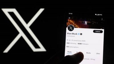 Will Twitter/X survive? One year on from Musk's takeover, we look at what's changed