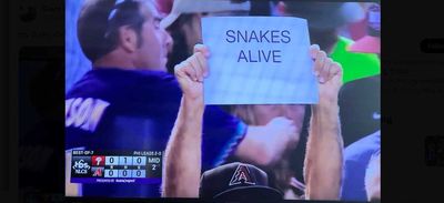 How Snakes Alive became a meme, then a Diamondbacks rallying cry for an unlikely World Series run