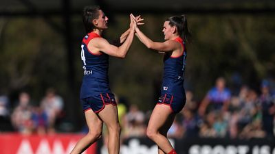 Demons close on McClelland Trophy after Freo win