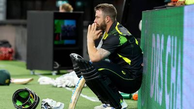 Matthew Wade to captain Australia in T20 series against India