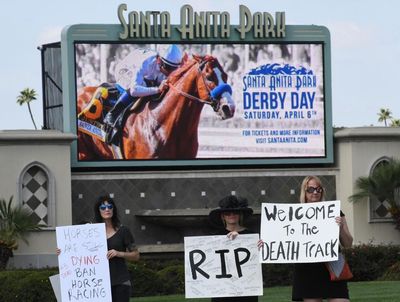Anti-doping crusade gives US horse racing final chance to clean up act