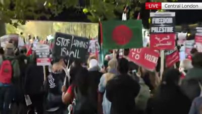 Police clashes as thousands of Pro-Palestine protesters descend on central London