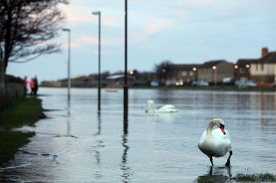 'A harsh approach': Academics question multi-million pound flood defence plan
