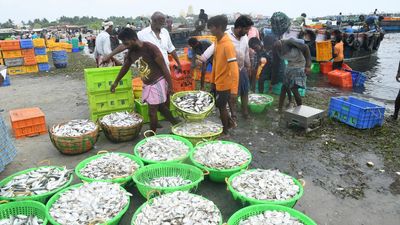 Sri Lankan Navy detains 21 more Rameswaram fishermen on poaching charges; 64 fishers from Ramanathapuram held in a fortnight