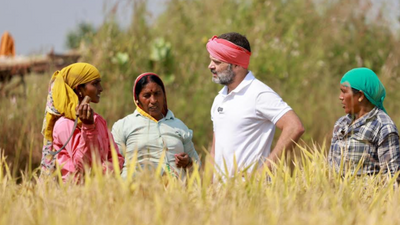 Assembly elections: Rahul Gandhi vows to prioritize farm loan waiver, caste census in Chhattisgarh
