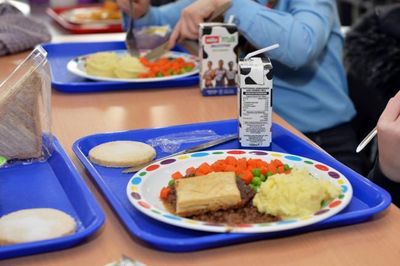 Scottish Greens call for extension of universal free school meals for all pupils