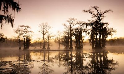 How the US supreme court and an Idaho couple upended wetlands protection