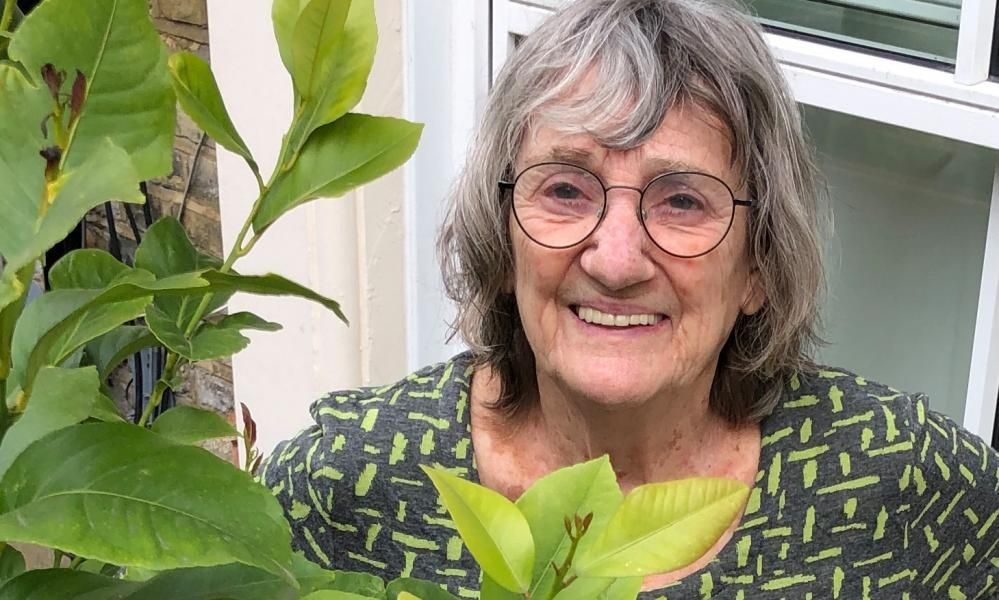 Lord Jim at Home by Dinah Brooke review a devilishly…