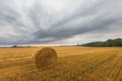 Sunday Scaries: What I'm Watching This Week In The Grain Markets