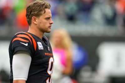 Bengals QB Joe Burrow is ‘100 percent’ healthy, per report