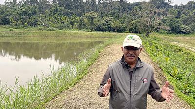 Biodiversity expert calls for collating rainfall data from farmers