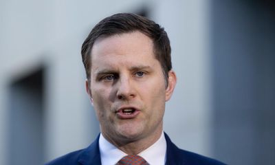 Why is Labor defending Alex Hawke’s ‘bizarre’, ‘steering wheel’ visa decision in the high court?