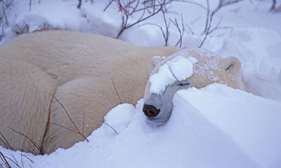 Should I worry about getting less exercise in winter?