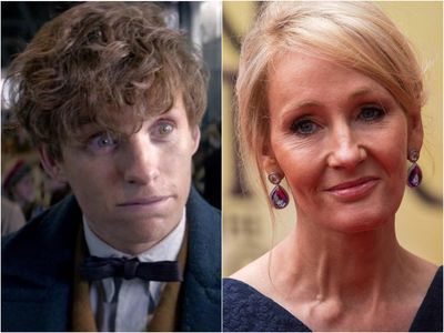 Fantastic Beasts director was left blindsided by JK Rowling comment