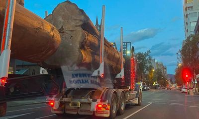 Huge centuries-old tree being trucked through Hobart CBD prompts calls for logging law reform