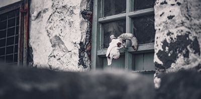 Nos Galan Gaeaf: the traditional Welsh celebration being eclipsed by modern Halloween