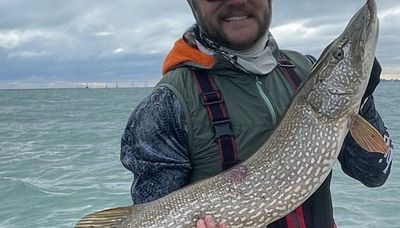 ‘Burly’ pike makes surprise appearance during smallmouth fishing off Navy Pier