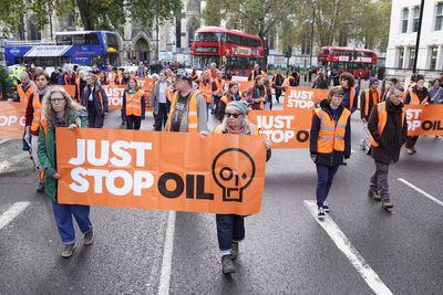 Just Stop Oil protesters arrested at Westminster demonstration