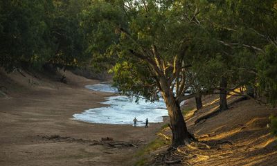 Murray-Darling Basin plan: government should expand voluntary buybacks, Productivity Commission finds