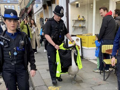 Police have real life ‘Hot Fuzz’ moment as officers escort lost swan to river
