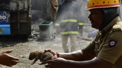 Augmenting fire brigade, fire safety survey of commercial establishments to prevent further fires in Bengaluru