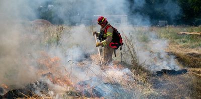 Fire-smart farming: how the crops we plant could help reduce the risk of wildfires on agricultural landscapes