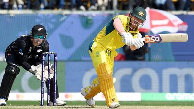 Cricket World Cup 2023 | Warner enjoying making doubters 'look stupid'