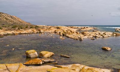 Search under way for body of missing surfer after shark attack near Streaky Bay in South Australia