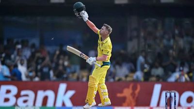 ICC World Cup: David Warner enjoying making doubters 'look stupid'
