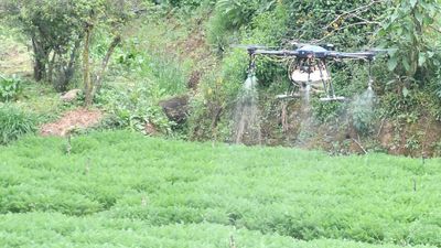 Nilgiris conservationists warn of threat to biodiversity if drone spraying of pesticides is allowed